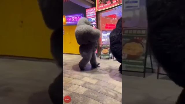 Когда с другом идешь за пивом смотреть онлайн