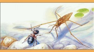 В. Бианки "Как муравьишка домой спешил".