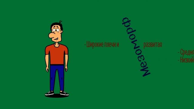 Типы телосложений от Эрнеста смотреть онлайн