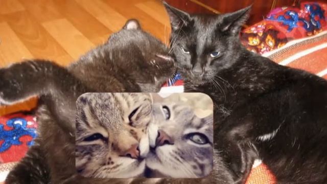 Снова вместе, снова рядом смотреть онлайн