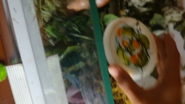 У моей улитки День рождение. смотреть онлайн