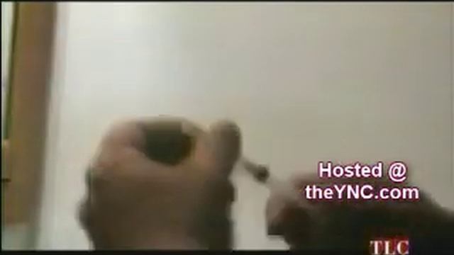 Greg Valentino that is the real truth. смотреть онлайн