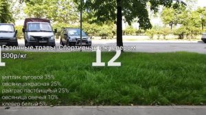 Семена газонной травы, какие выбрать? Тест, сравнение популярных травосмесей, результат спустя меся