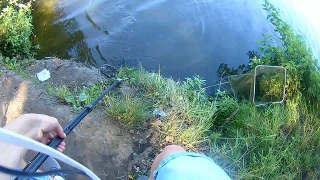 На что клюёт линь в жару смотреть онлайн