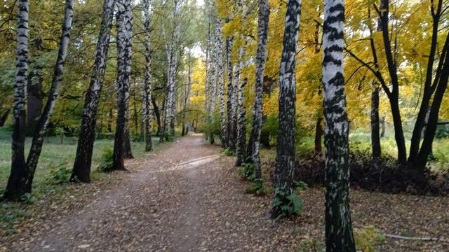 Золотая эпоха листопада смотреть онлайн