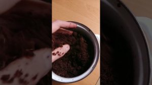 Пересадка Туласи в новый горшок