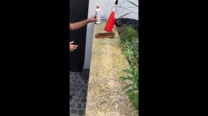 Как почистить гранит и мрамор от мха, плесени, зелени самостоятельно. Удаление мха, плесени, грибка