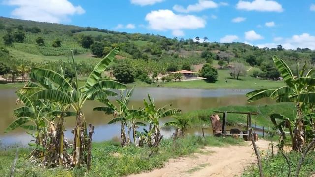 ALMOÇO DE DOMINGO NA CASA DE MARCELINO COLATINO E JEANE, MEUS PADRINHOS! смотреть онлайн