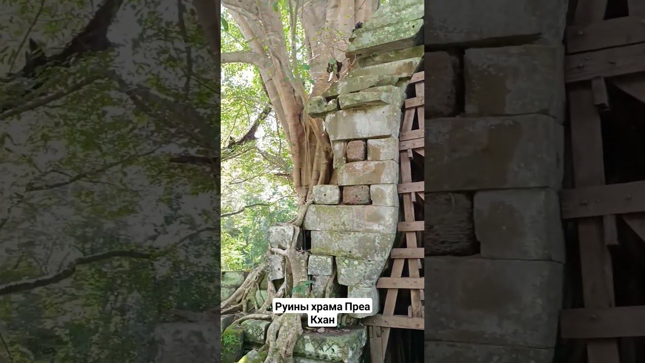 Храм Преа Кхан в провинции Преа Вихеа #камбоджа смотреть онлайн