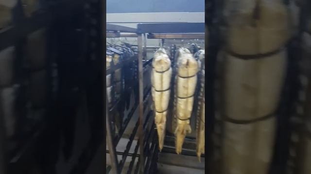 Производство балыка осетровых пород рыб