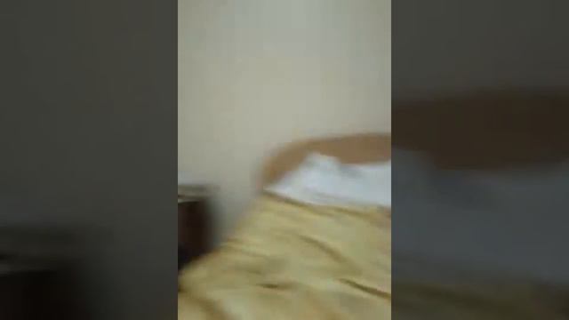 5 марта 2016 г. смотреть онлайн