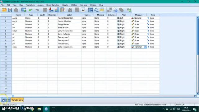 Tutorial SPSS - Cara Membuat Variabel dan Input Data ke SPSS смотреть онлайн