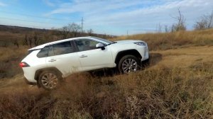 2020 Toyota Rav4 Offroad. Новый Рав4, лучше ли старого? Сравнение с предыдущем поколением