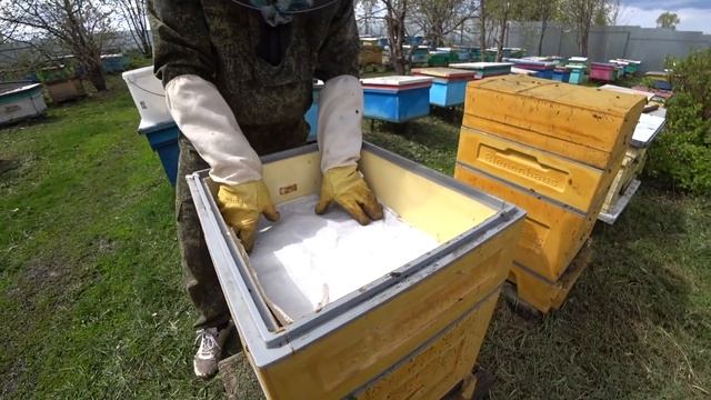 СМОТРИМ ПЧЕЛОСЕМЬИ В УЛЬЯХ ППУ И ПОДСТАВЛЯЕМ РАМКИ НА РАСШИРЕНИЕ ГНЕЗДА. смотреть онлайн
