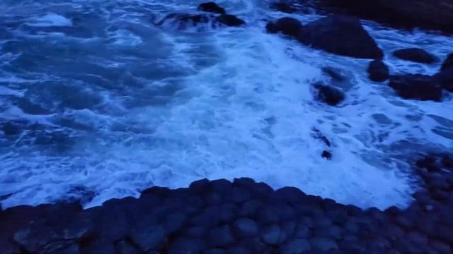 Giants Causeway (Ireland 2019 Trip)