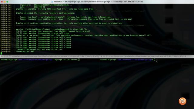 Enclaive's Confidential Container in Use: The Case HTTPS Go Server and File Access смотреть онлайн