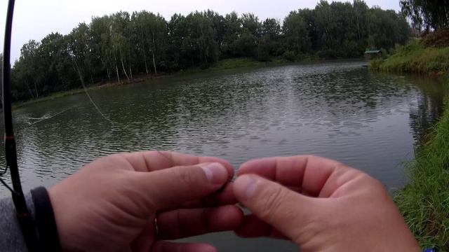 Maximus Minigun 17UL против окуня смотреть онлайн