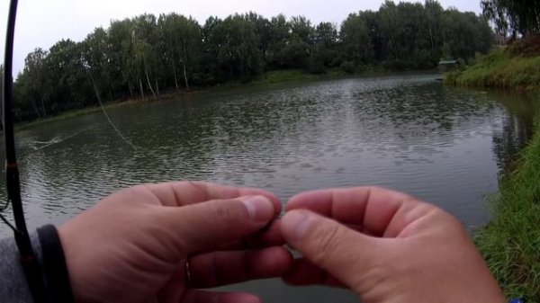 Maximus Minigun 17UL против окуня