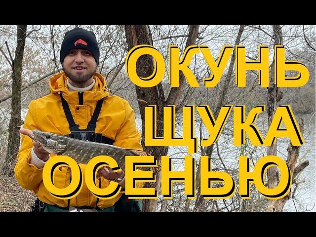 Поменял РАЗМЕР ПРИМАНКИ и ПОЙМАЛ Щуку!!! Окуни на микроджиг! смотреть онлайн
