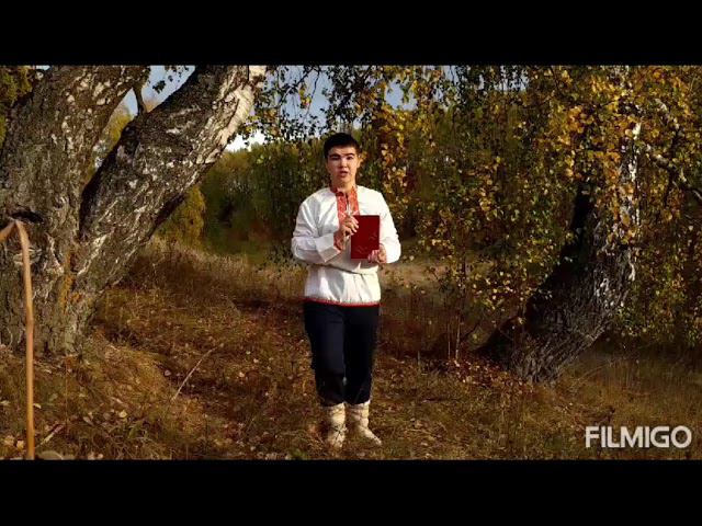 С.Чавайна Книга. Соловьёв Артём Борисович. 15 лет смотреть онлайн