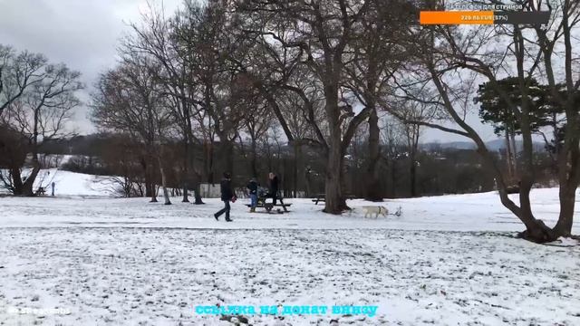 ЭКСКУРСИЯ ВЕНСКИЙ ЛЕС. ЗАМОК ЛИХТЕНШТЕЙН. АВСТРИЯ. смотреть онлайн