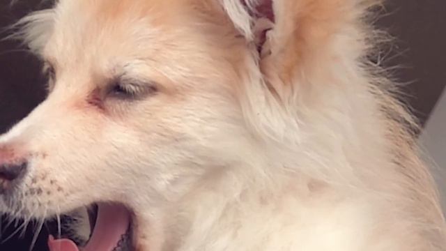 GANA 1000$ QUIEN HAGA el TIK TOK mas VIRAL en 24 HORAS смотреть онлайн