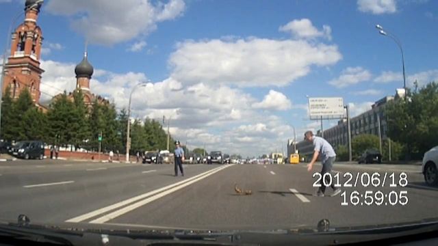 Утка и утята смотреть онлайн