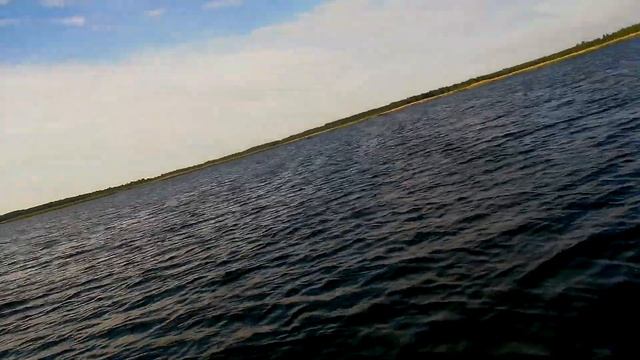 Светлогорское водохранилище. Хищник спит,ловим краснопёрку.