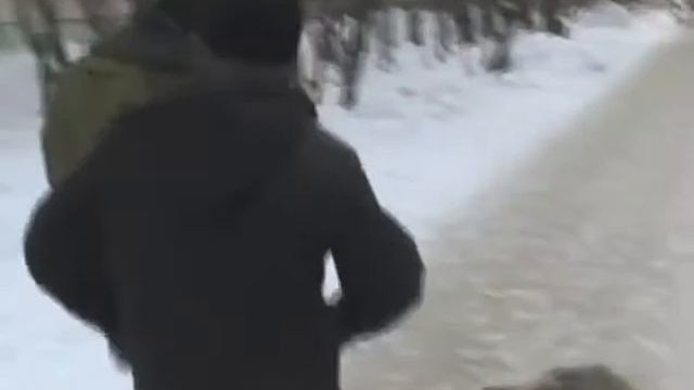 Поздравления от бомжа смотреть онлайн