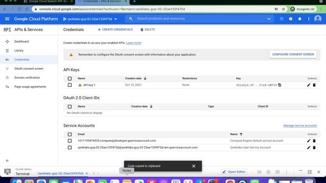 Google Cloud Speech API: Qwik Start || Qwiklabs || GSP119 смотреть онлайн