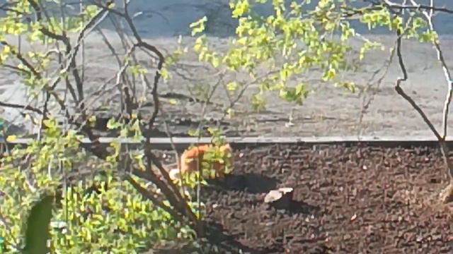 НАЧАЛОСЬ В КОЛХОЗЕ УТРО ПОСЕВНАЯ смотреть онлайн