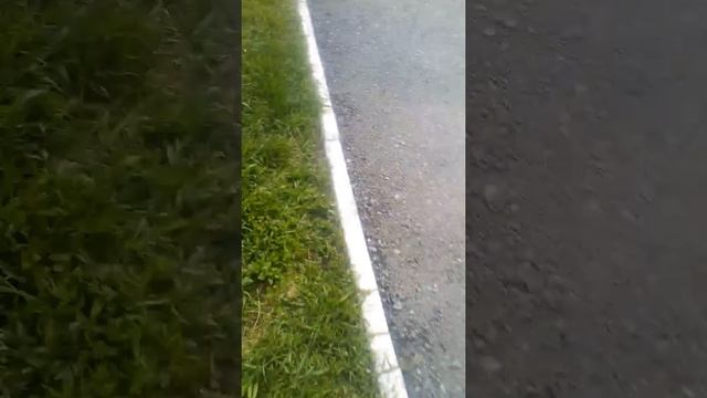 Что будет если цветы полить дозировкой?