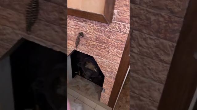 Приточная вентиляция под печь в бане смотреть онлайн