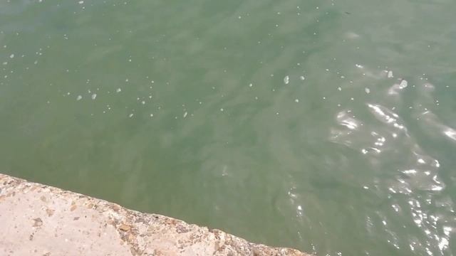 АРХИПО ОСИПОВКА 2020 ЦЕНТРАЛЬНЫЙ ПЛЯЖ ОТКРЫТ ЧЁРНОЕ МОРЕ ПОГОДА ТЕМПЕРАТУРА ВОДЫ смотреть онлайн