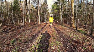 ПЕРЕЕЗЖАЕМ СО СТАРОЙ ИЗБЫ НА НОВЫЙ УЧАСТОК. часть 3.