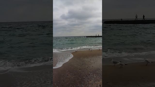 #ПавловопосадскиеПлатки Павловопосадский платок,,Посадский,,14 смотреть онлайн