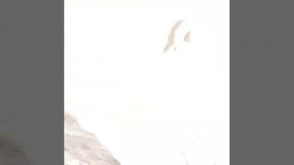 Мир  без тебя *Елена  Есенина *