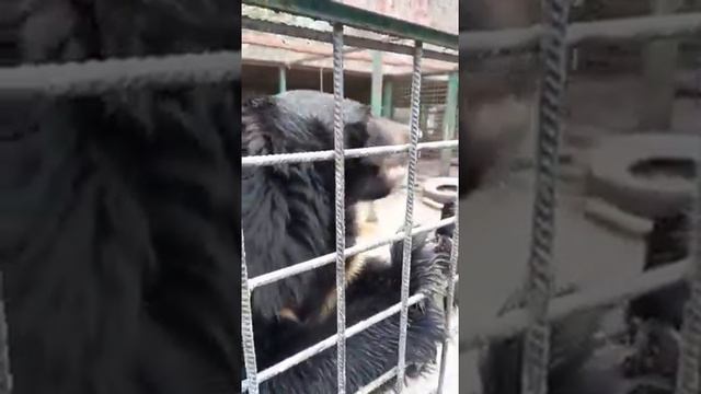 Мишаня смотреть онлайн