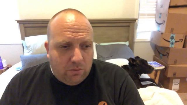 What to do When Your Dog Growls at Your Kids смотреть онлайн