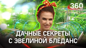 Сажаем девичий виноград | Эвелина Бледанс «Дача 360»