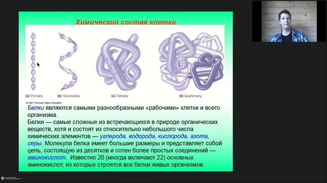 Онлайн-школа СПбГУ 2022/2023. 9 класс. Биология. 15.10.2022 смотреть онлайн