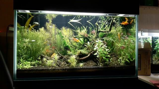 Выбираем Имя 120 Литровому аквариуму смотреть онлайн