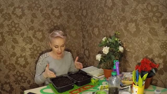 БЕГОНИЯ. ПЕНТАС. ПОСЕВ СЕМЯН НА 2019 СЕЗОН. смотреть онлайн