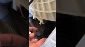 Стиральная машина Weissgauff  WM 40275 TD ошибка E21. Не сливает воду. Ремонт своими руками.