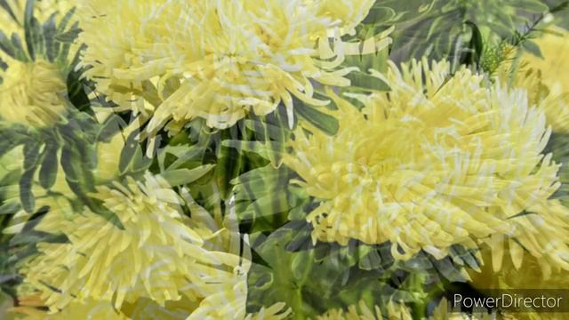 31 октября 2021 г. смотреть онлайн