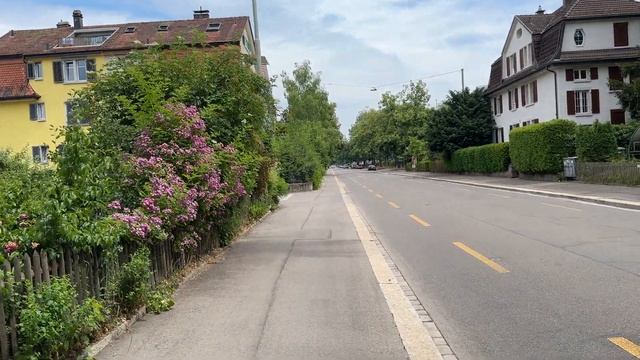 Как уехать в Америку в 2023. История одобрения U4U. Особенности программы Uniting For Ukraine