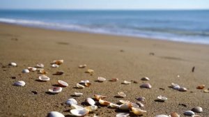 Я - экран  Я не являюсь и не ухожу [Пападжи  Papaji].mp4