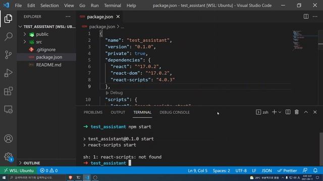8. package-lock.json , npm 명령어가 안 먹힐때 - React TypeScript + GraphQL 실전개발 смотреть онлайн