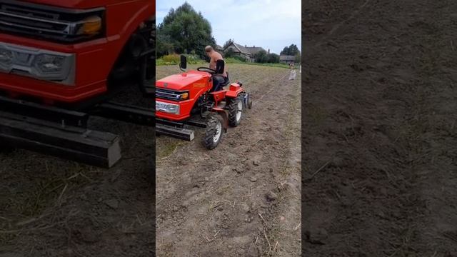 копаем картушку минитрактором .грохотная копалка смотреть онлайн