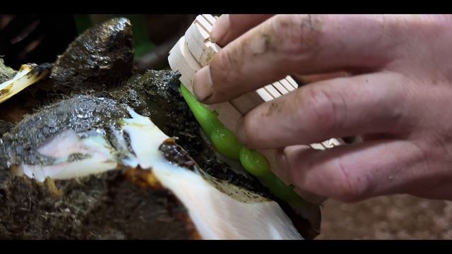 EXTRACTING a HUGE, RUSTY NAIL from COW's PAINFUL HOOF смотреть онлайн